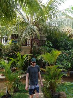 Little Sunshine Guest House & Restaurant - Tangalle - 6