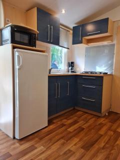 MOBIL HOME familiale EN ALSACE11 KM DES GRANDS PARCS - Boofzheim - 3
