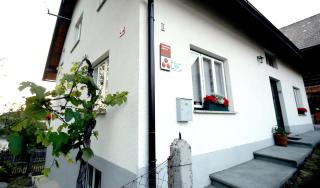 Ostir Holiday Home - Cerknica - 9
