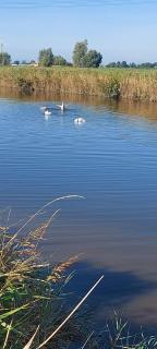 Haus am Wasser - Niedersachsen-Stadland - 1