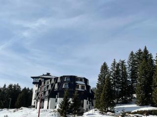 Vili.Kop studio - Kopaonik - 8