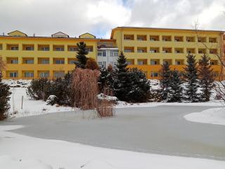 Apartmán Wellness hotel Frymburk - Frymburk - 9