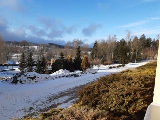 Apartmán Wellness hotel Frymburk - 1