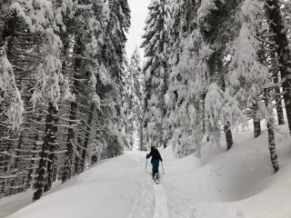 Baita Zeni Tirolerhof - 1