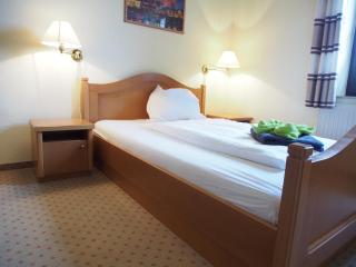 Altes Teichhaus - Pension Ottendorf-Okrilla - Ottendorf-Okrilla - 6
