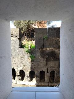 puntoxenia torri aragonesi - Napels - 2