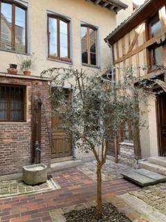 Aube berges de Troyes - Troyes - 9