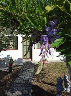 Courtyard Studio - Oradea - 2