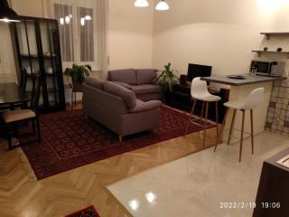 A quiet place in the heart of the city - Budapest - 0