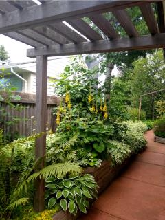 U of A Homestay, Trails & Whyte Ave - Edmonton - 8