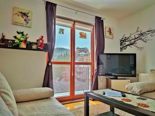 APARTMAN SNOW Vlašić - Vlasic - 9