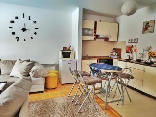 APARTMAN SNOW Vlašić - Vlasic - 7