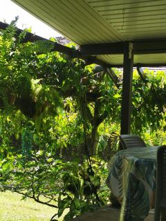 Omati Lodge - Taravao - 8