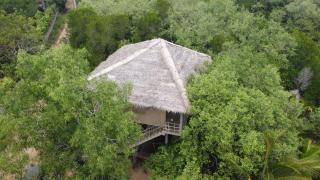 Mermaid Cabana and Tree Houses - Tangalle - 1