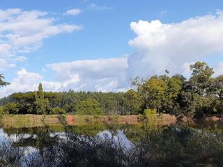 Boschoek Farm - 1