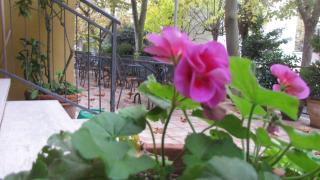 Albergo La Primula - 5