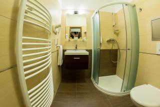 Hotel Lužnice - Planá nad Lužnicí - 6