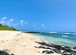 East Coast Beachfront Luxury - Eastern Blue Apartments - Poste Lafayette - 4