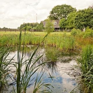 Afbeelding van de locatie