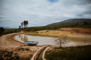 Blue Crane Farm Lodge - Botrivier - 8