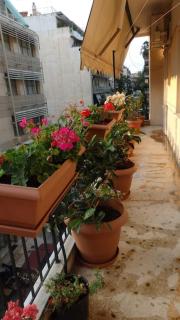 Nice Apartment Near City Center - Athens - 2