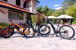 Toscana Wellness Resort - Arcidosso - 6