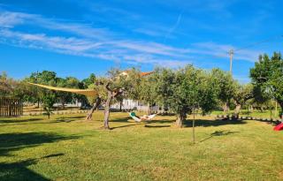 Casa Vacanza Il Giardino del Sole Treglio - Treglio - 2