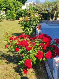 Casa Vacanza Il Giardino del Sole Treglio - 4
