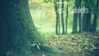 Gîte « les roblets » - Bougey - 9