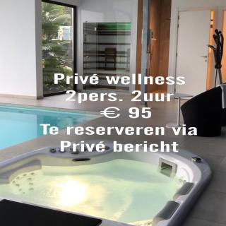 Vita Roka met extra Luxe Privé Wellness - Ursel - 9