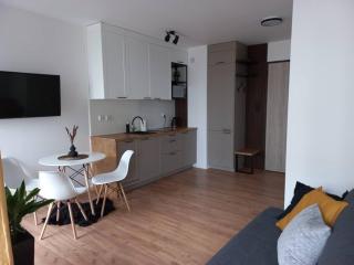 Apartament blisko morza i stadionu Polsat Plus Arena Gdańsk - Gdansk - 8
