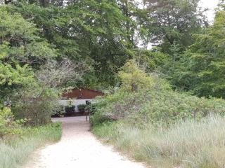 Dünenhaus - Bungalow groß - zum Strand 50m - Ueckeritz - 3