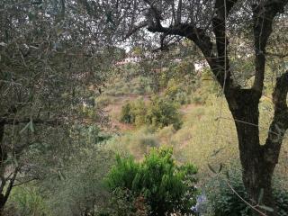 Nonna Paola Guest House - 1
