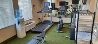 Holiday Inn Express & Suites New Buffalo, MI by IHG - New Buffalo - 4