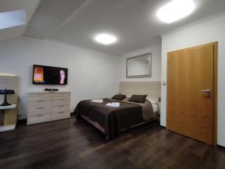 Horský Apartmán C303 v Anenském údolí se saunovým wellness v ceně pobytu, O2 TV a stabilní rychlou WIFI - by Relax Harrachov - Harrachov - 8