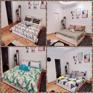 Apartman Delena - Novi Sad - 7