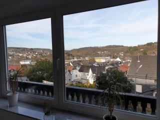 Schöne Wohnung über Wissen - 1