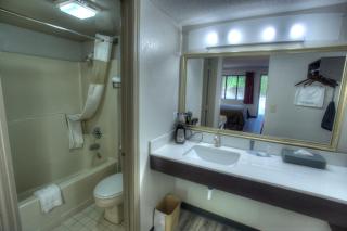 Budgetel Inn and Suites Plus Helen - Helen - 9