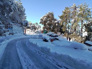 Oakwood Hotels - Chail - 7