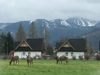 A3Apartament 2 pokojowy aneks kuchenny 2 łazienki na korytarzu wspólne z innymi Ludźmi - Zakopane - 4
