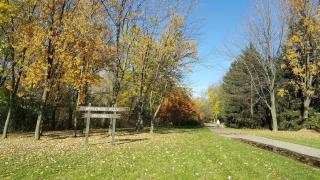 Comfort Stays near Toronto Airport - 1