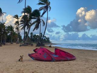 Puntacana Ecolodge Lavacama Beach Costa Arrecife by AA Crypto Group - Punta Cana - 5