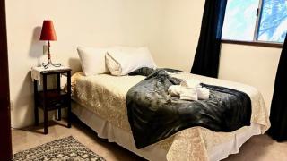 Captain's Quarters - Reduced Price Tours! - Mendenhaven - 3