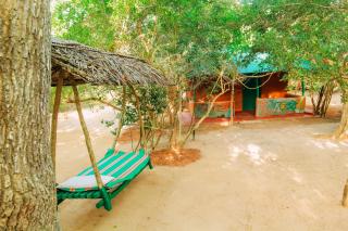 Yala Wild House - Yala - 0