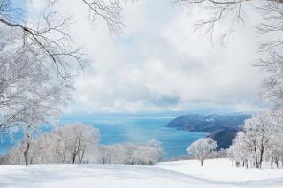 The Windsor Hotel TOYA Vignette Collection - 3