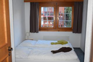Flamingo - Saas-Fee - 3