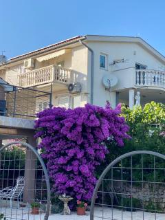 Apartments Adria - Tribunj - 1
