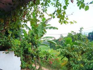 Green View Guest - Mirissa - 4