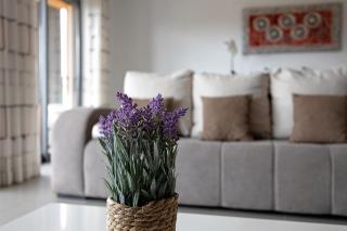 Paraiso a Beira Mar -Sol e Praia - 3