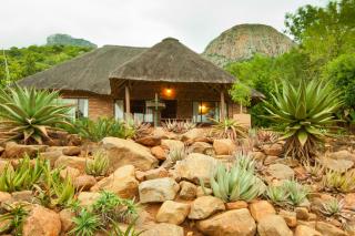 Amafu Forest Lodge - Hoedspruit - 6